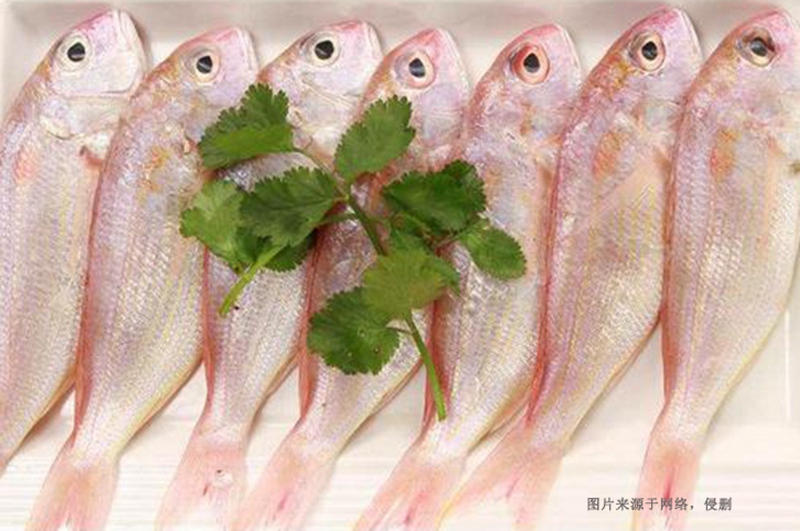 越南冷凍魚(yú)進(jìn)口清關(guān)資料